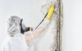 Mold Documentation for Insurance Claims in Munroe Falls, OH